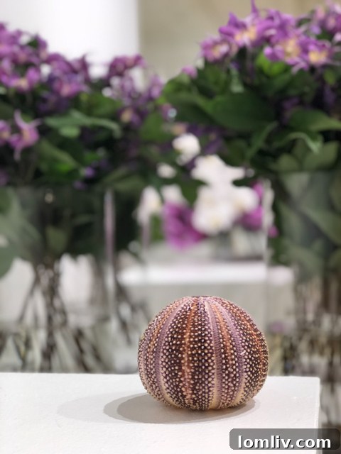 This sea urchin and fresh flowers are the perfect start to a new room at The Botanical Mix
