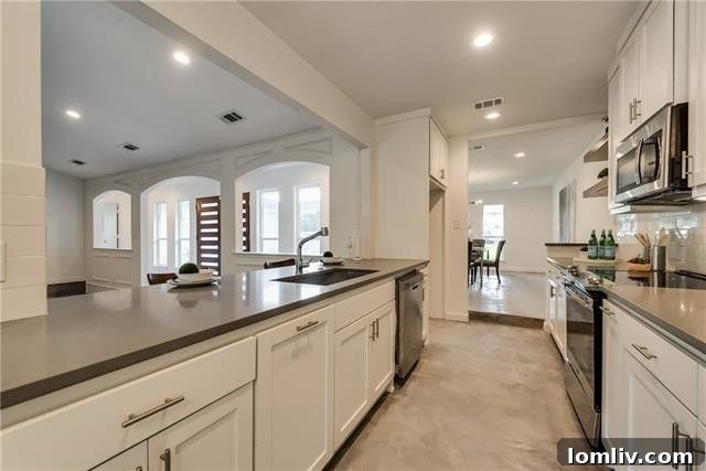 Modern Kitchen Renovation Dallas