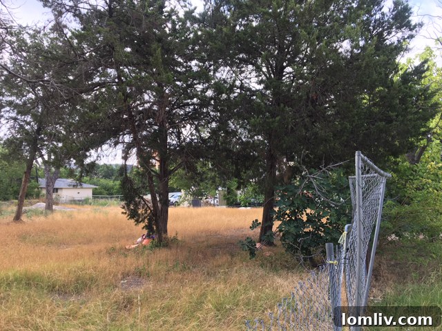 Future InTown Homes development site on Zang Blvd