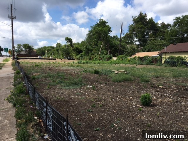 View looking south on Polk Street, site of future townhomes