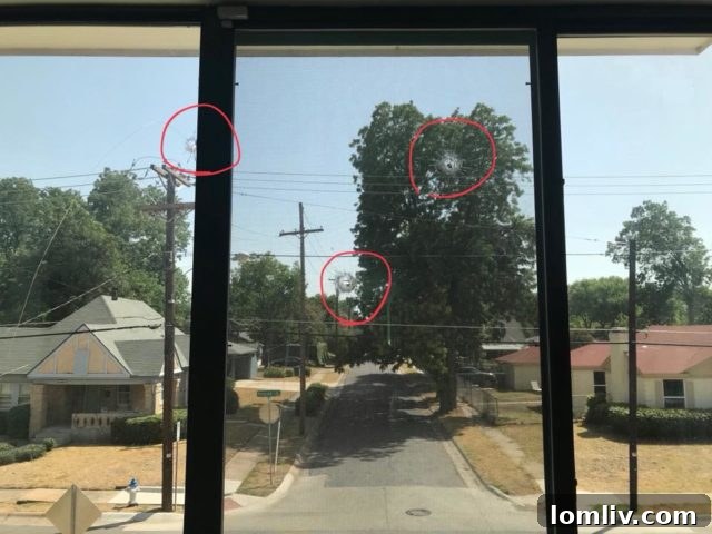 Early morning gunfire disrupted and terrified residents on one street in Oak Lawn Heights