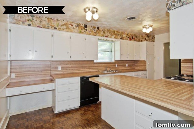 Vintage Kitchen Appliances and Cabinetry Before Remodel at 9659 Leaside Dr.
