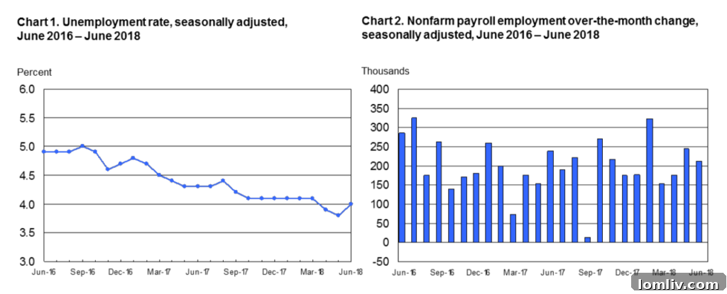 US Employment Trends and Labor Force Participation