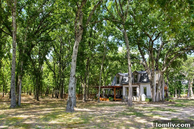 Expansive Backyard with Pond View