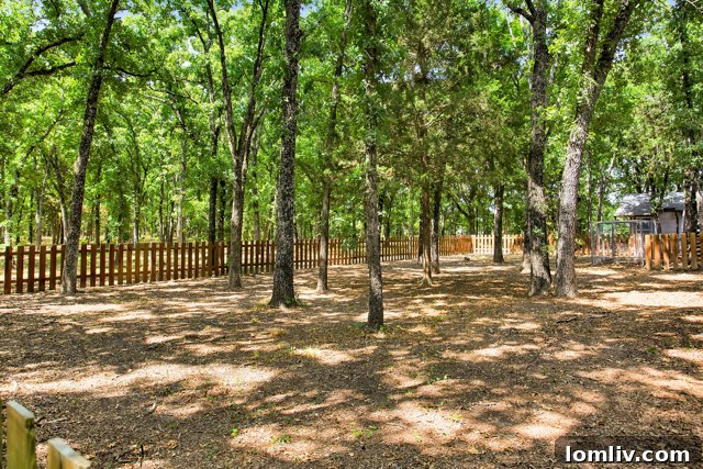 Nature's Bounty: Deer on Property