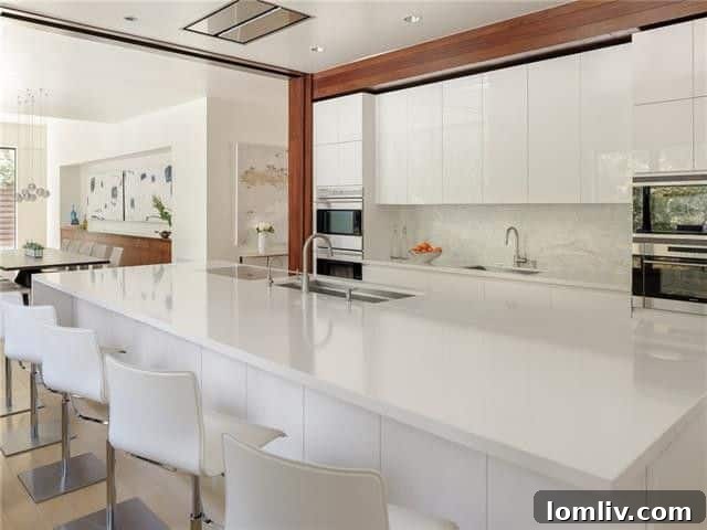 Tomorrow's Home Today: Preston Hollow Texas Modern 11 Kitchen Island with Multiple Sinks and Seating