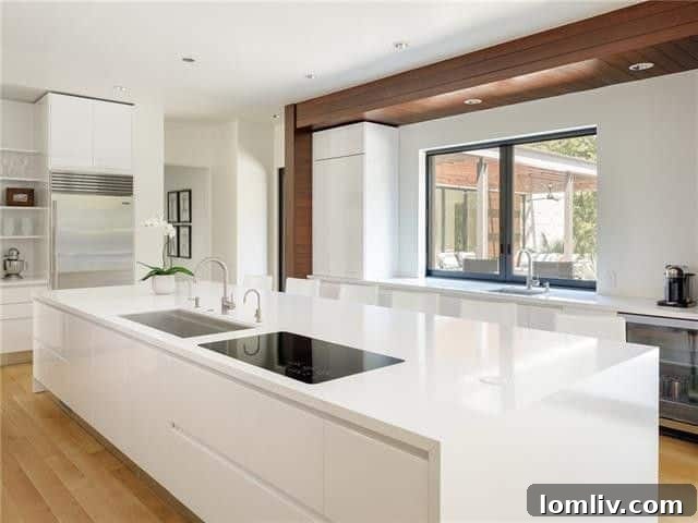 Tomorrow's Home Today: Preston Hollow Texas Modern 10 High-End Kitchen Appliances and Design
