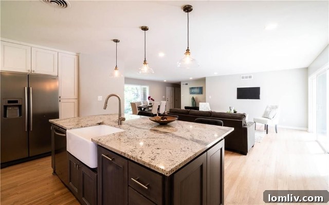 Wild Valley Combo Exterior - Bright Kitchen and Living Area