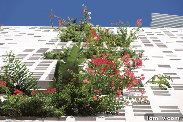 Tour 25 - White Walls, Nicosia, Cyprus - explosion of greenery on the building's side