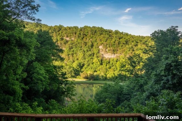 Outdoor deck and natural surroundings of the cave lodge