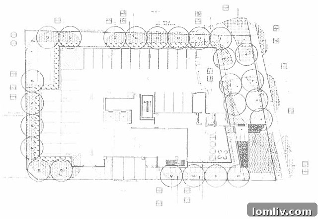 3407 North Hall Street Landscape Plan