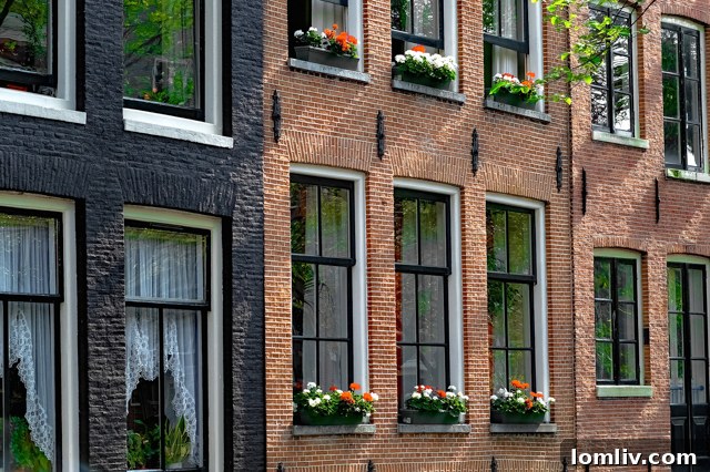 Painting brick exteriors offers homeowners vast opportunities for design diversity and personal expression, adding unique character to properties.
