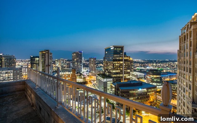 Panoramic Views from Ritz Residences Sub-Penthouse 1804 Terrace
