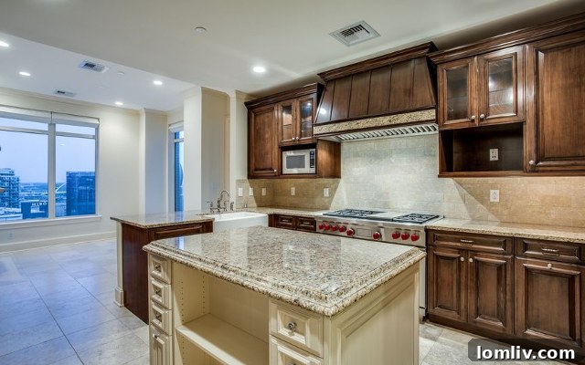 Gourmet Kitchen with Professional Appliances in Dallas Condo