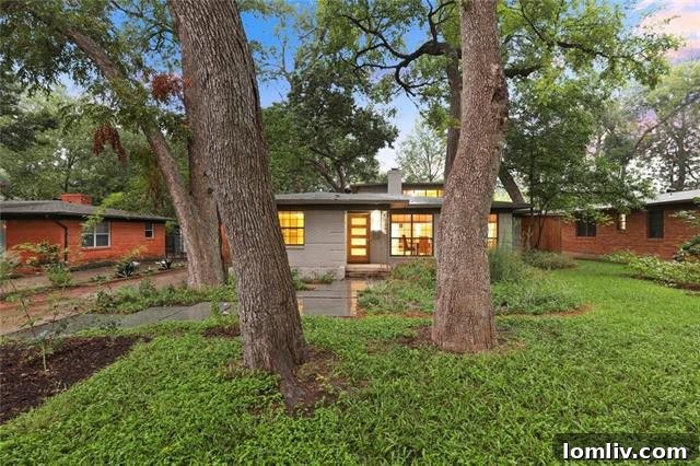 Treetop Midcentury Gem in Eastwood Estates: Incredible Value at $450K 4 Open Plan Interior with Natural Light