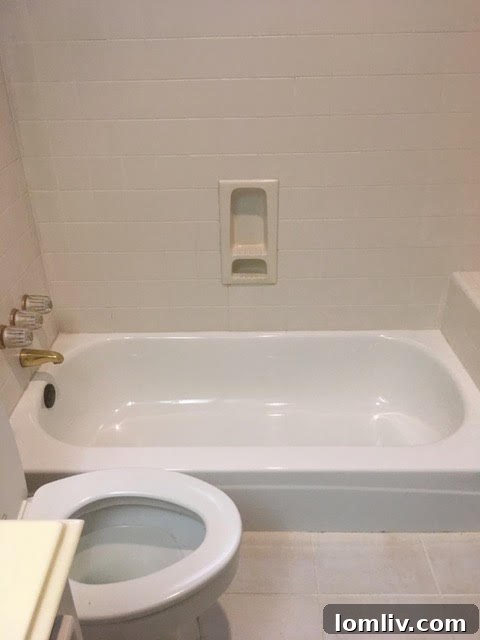 Guest Bathroom Remodel