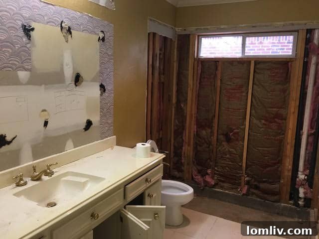Downstairs Guest Suite Shower
