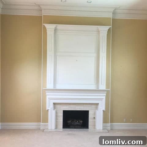 Before Living Room Fireplace Renovation