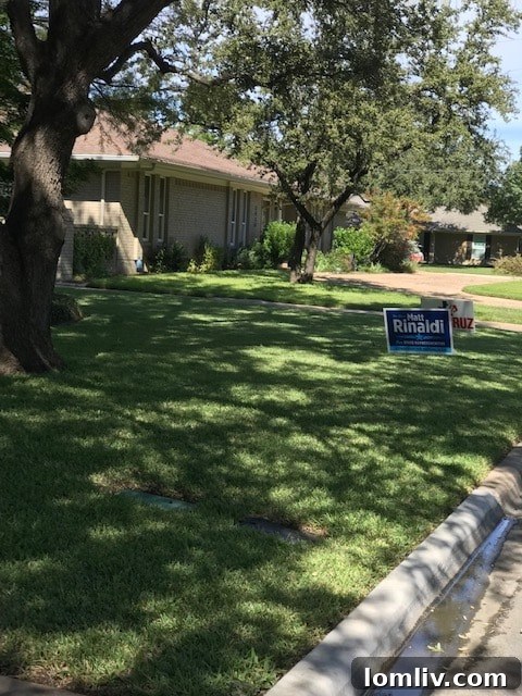 A campaign sign for Matt Rinaldi prominently displayed in a residential yard in Texas House District 115, indicating local voter support.