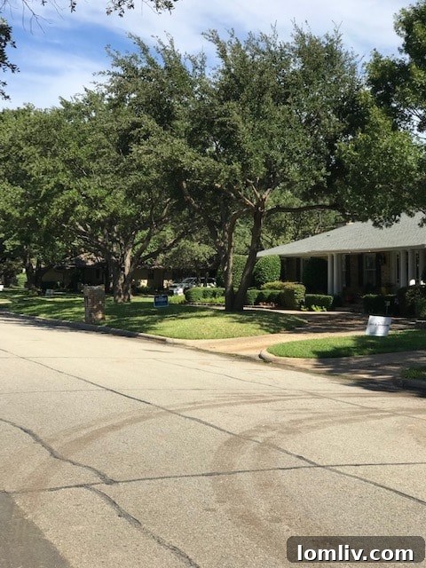 Another campaign sign for Matt Rinaldi visible in a residential setting, illustrating the political landscape in Texas House District 115.