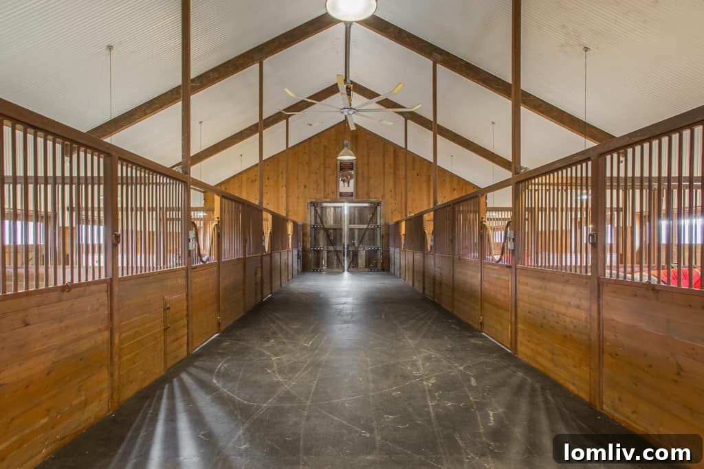 Spacious horse barn interior designed for easy vehicle access
