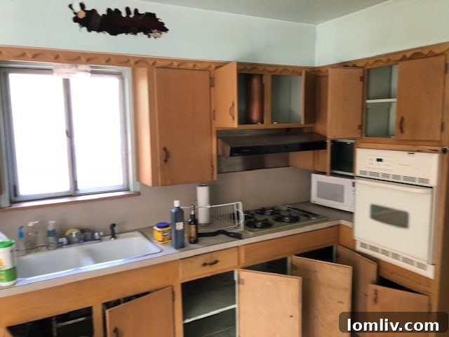 Expansive, completely gutted and redesigned kitchen with modern appliances and open shelving