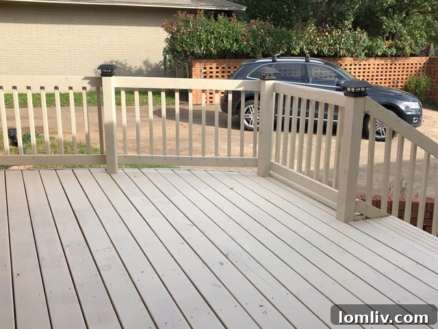 Lush, private backyard oasis, an ideal setting for relaxation or outdoor activities