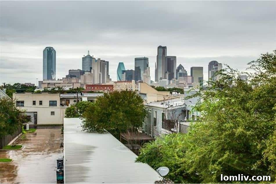 The Cedars Dallas Skyline View from Hickory Vista Rooftop Deck