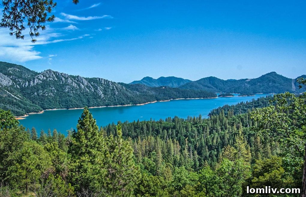 Stunning Lake Shasta Property Views