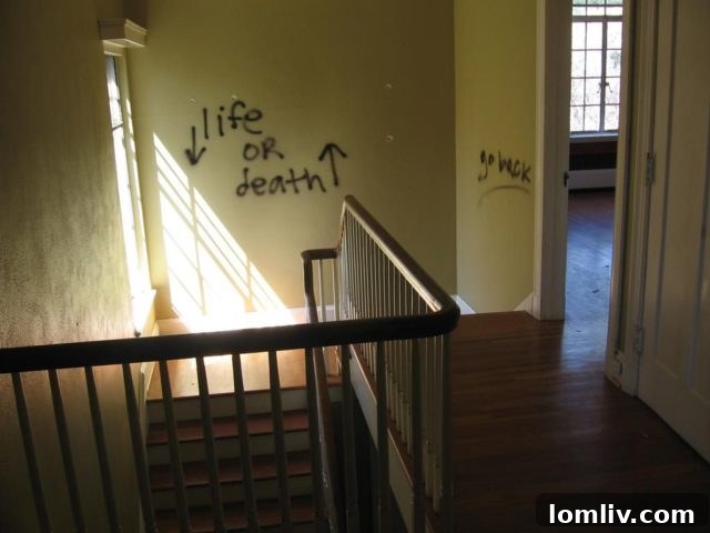 A dilapidated stairwell in the house