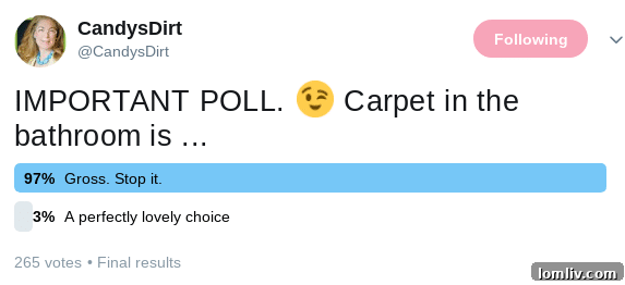 Screenshot of Twitter poll results showing an overwhelming disapproval of carpet in bathrooms from public respondents.