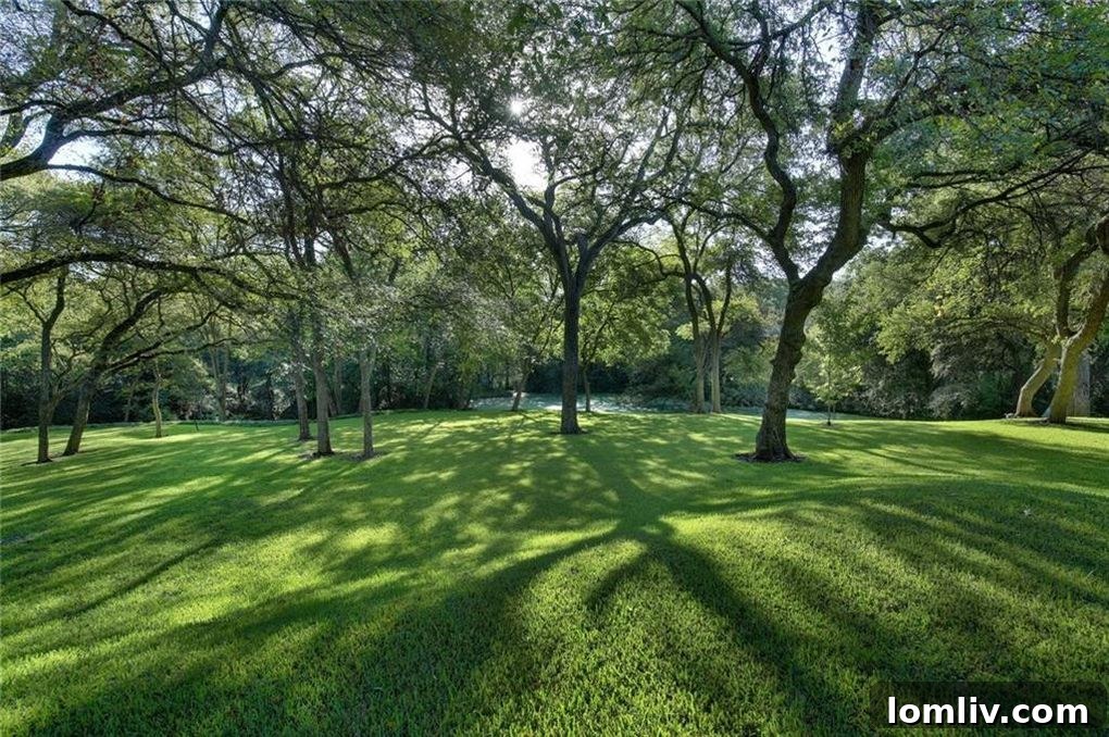Spacious backyard with creek view