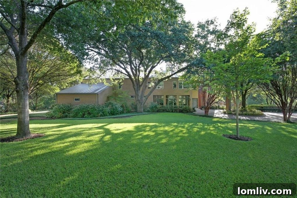 Creek flowing through a lush property