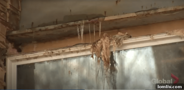 Canada's $3.5 Million Home: Mansion or Hovel? 7 Screenshot of the property's interior showing extensive graffiti and neglect