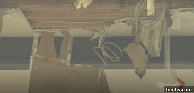 Canada's $3.5 Million Home: Mansion or Hovel? 8 Screenshot depicting further signs of decay and unhygienic conditions within the abandoned Scarborough Bluffs home