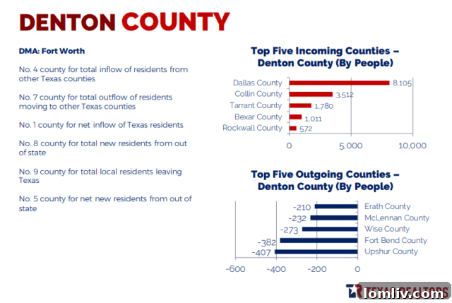 DFW Drives Texas Relocation Popularity 6 Visual representation of key Texas counties experiencing population growth