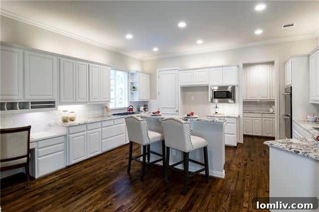 Modern Kitchen Appliances and Built-in Organization