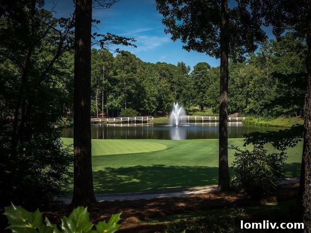 Panoramic view of Lake Oconee, a centerpiece of the luxurious Georgia community