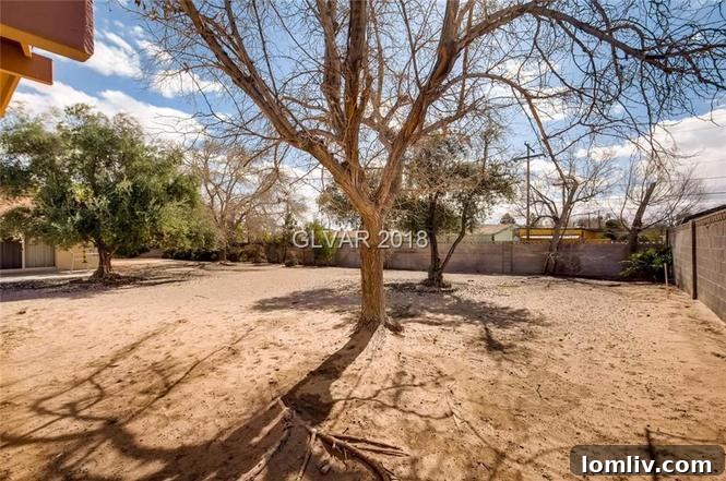 Exterior view of the backyard, showing it as a stark sand pit