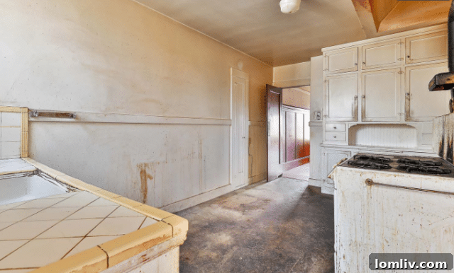San Francisco For A Million Dollars The Surprising Truth 13 Final view highlighting the dire state of the kitchen