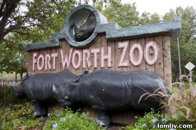 fort-worth-zo-680x451-e1553207304838