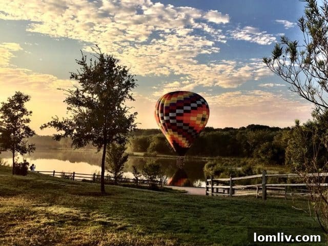 Vibrant community park in Plano, Texas, a highly-rated city for living