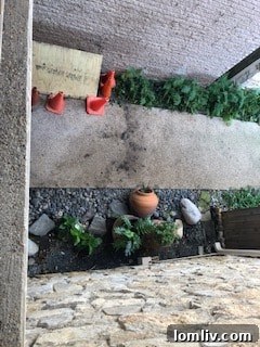 Exposed pipes and structural damage during repairs