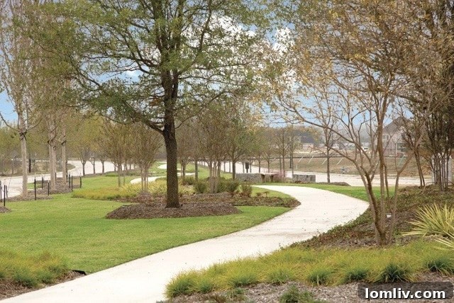 Lush Green Spaces at The Grove Frisco
