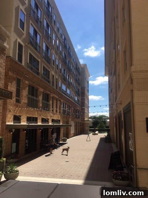 Resident and dog enjoying the courtyard at Novel Bishop Arts near Brewed coffee shop
