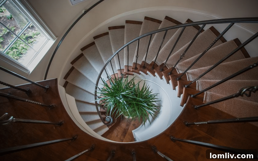 Elegant Spiral Staircase Leading to Upper Floor