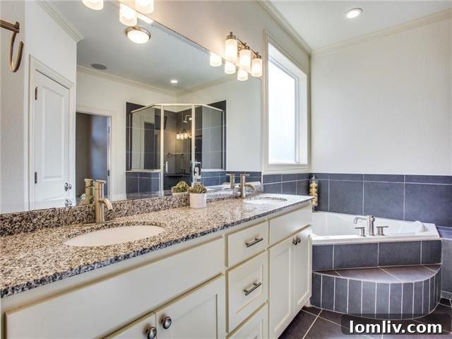 Elegant Master Bathroom Vanity