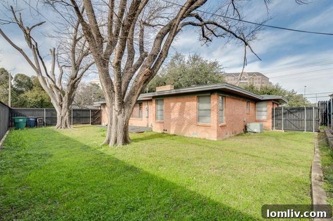 Well-Maintained Backyard Space with Potential for Outdoor Living