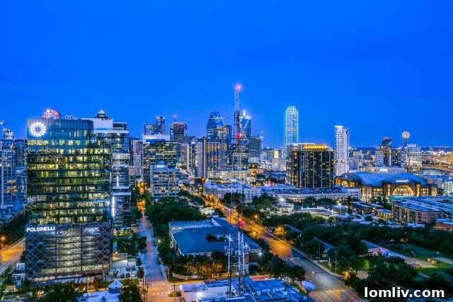 Bleu Ciel Dallas Terrace View