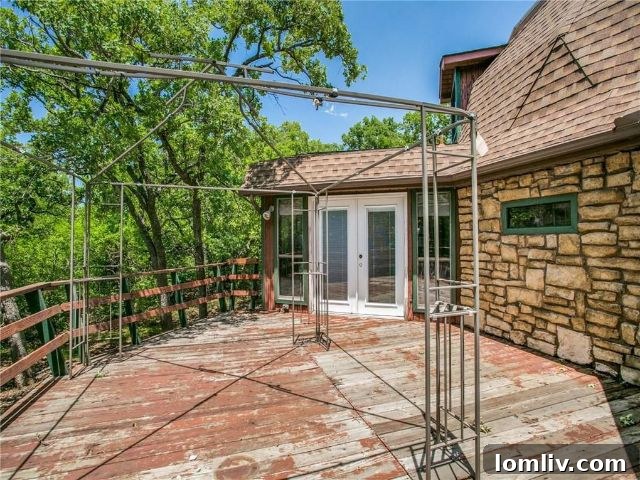 Southlake Geodesic Dome Exterior Deck